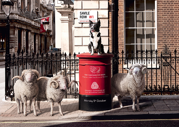 Savile Row – Sheep on the Row