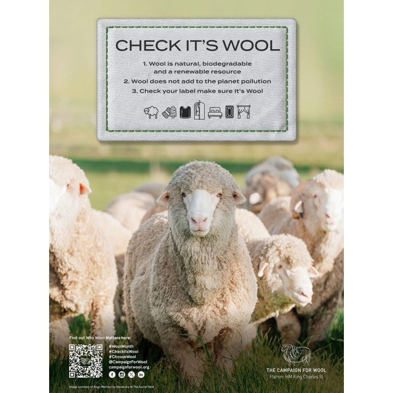 Campaign For Wool | Live naturally, choose wool