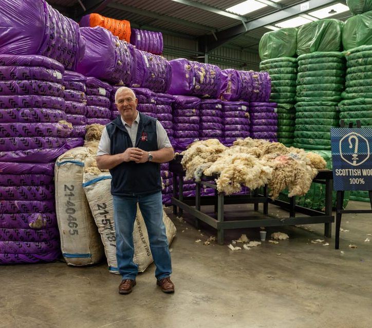 British Wool Scottish Wool IMG 3744
