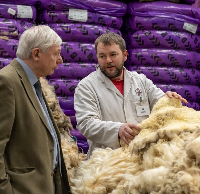 British Wool Scottish Wool IMG 3831