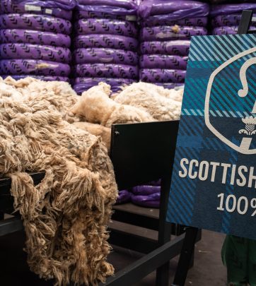 British Wool Scottish Wool L1004012